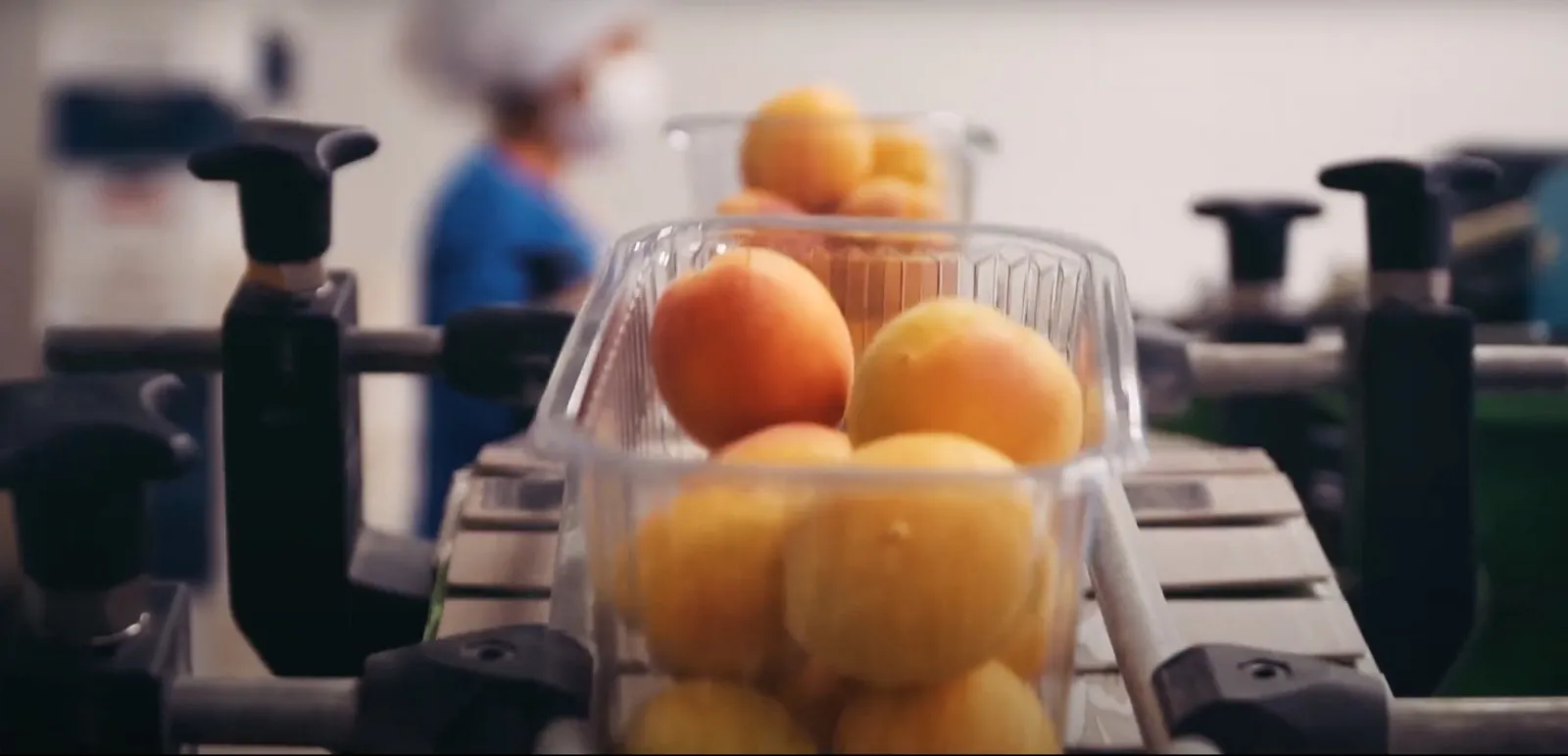 Fresh Fruits