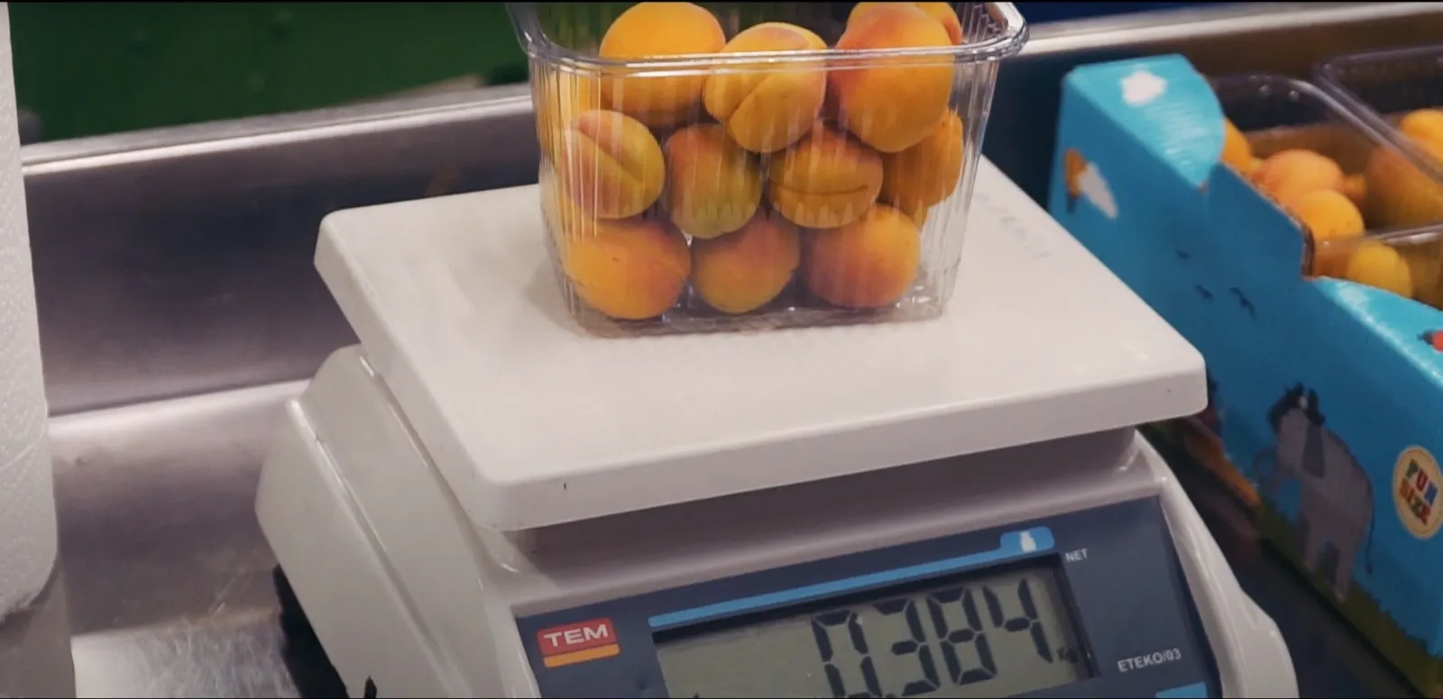 Fresh Fruits