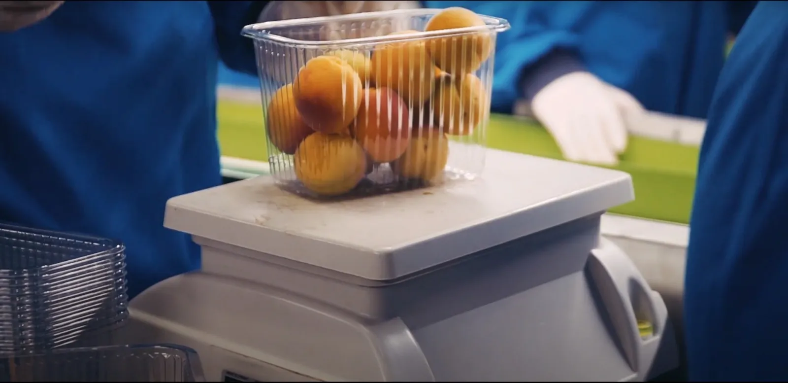 Fresh Fruits