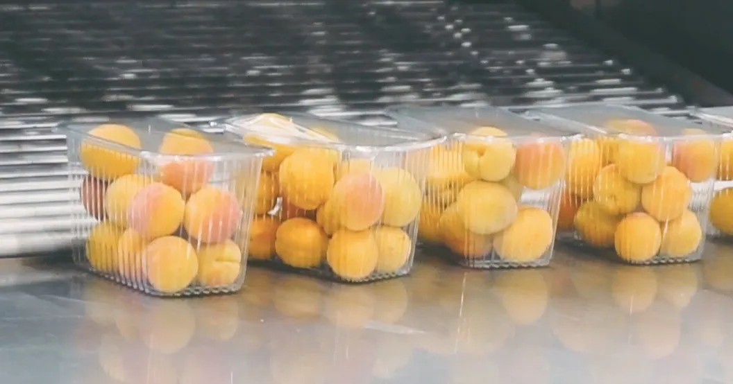 Fresh Fruits