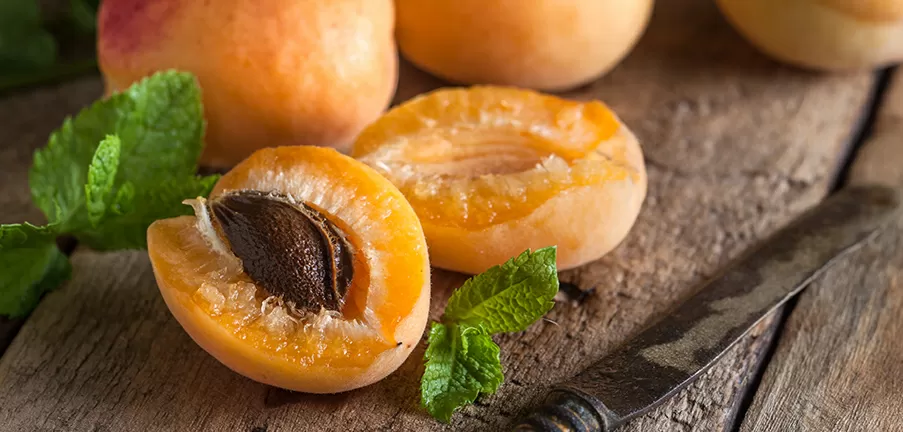 turkish dried apricot  malatya dried apricot  turkish dried apricot